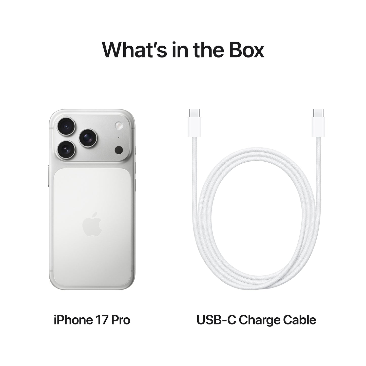 iPhone_17_Pro_Silver_PDP_Image_Position_8__en-IN