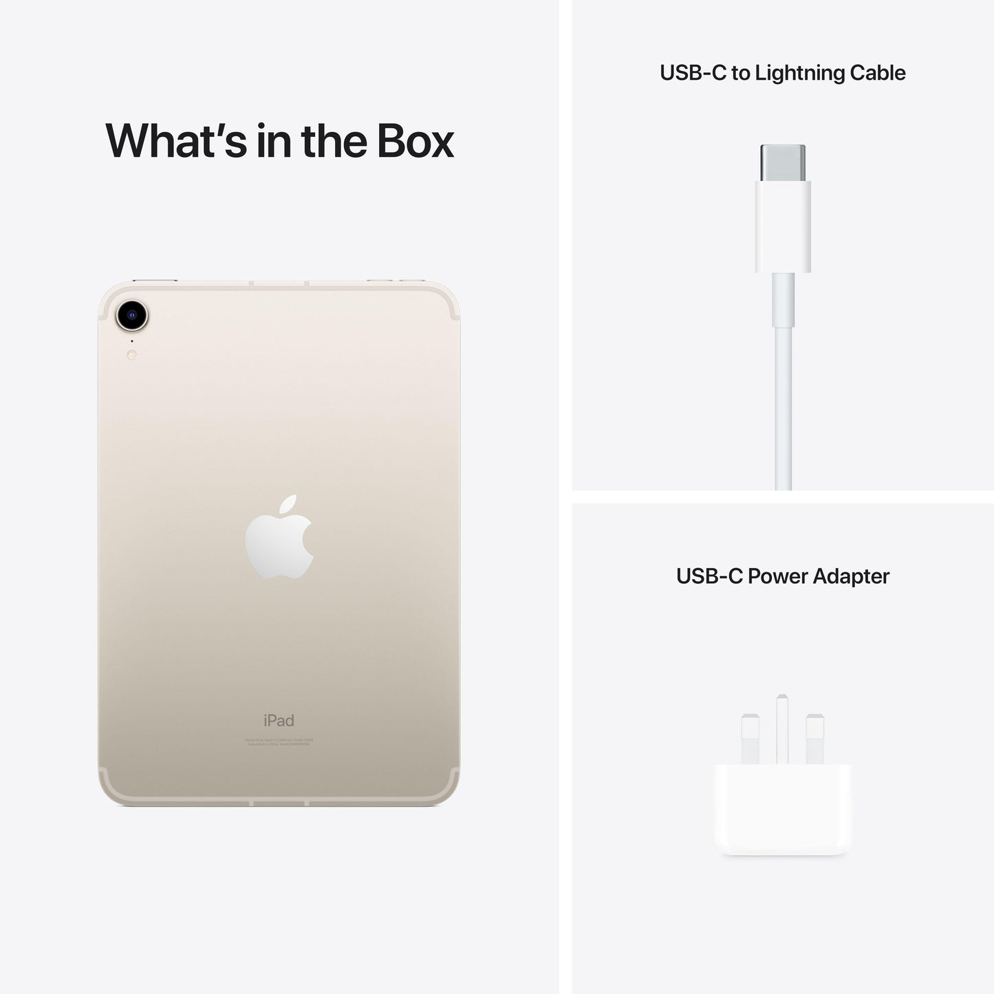 iPad mini Wi-Fi + Cellular 256GB - Starlight (6th generation)