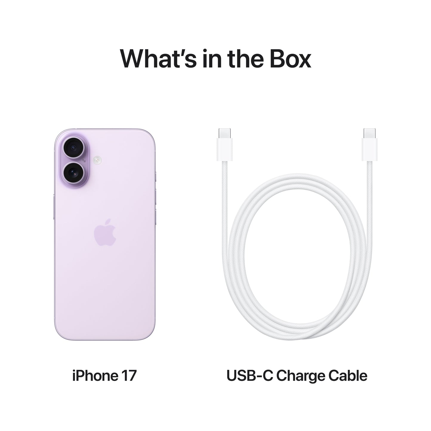 iPhone_17_Lavender_PDP_Image_Position_8__en-IN
