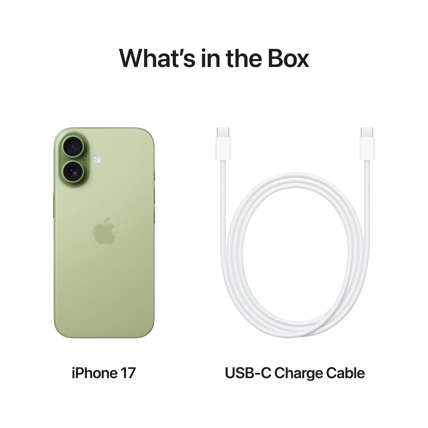 iPhone_17_Sage_PDP_Image_Position_8__en-IN