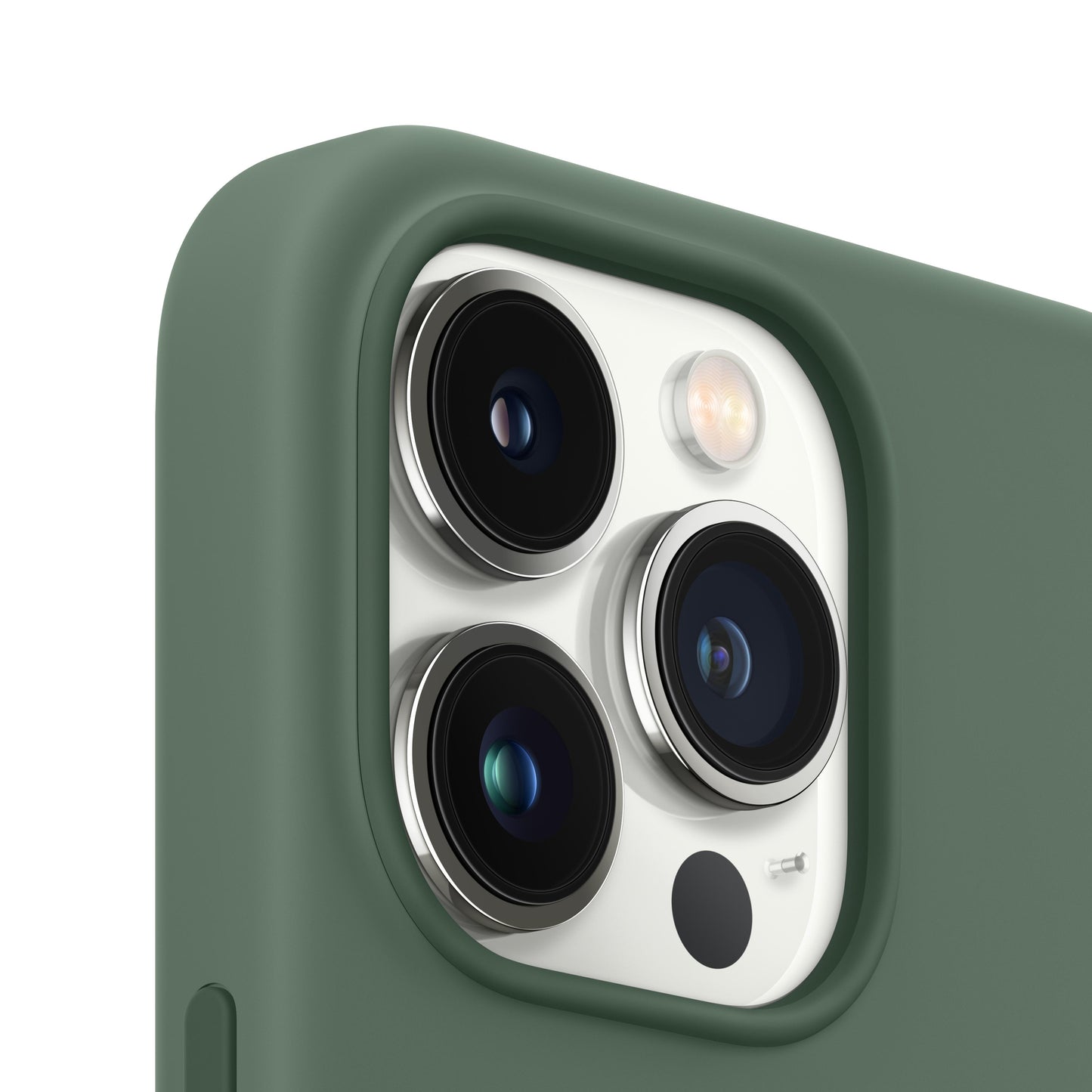 iPhone 13 Pro Silicone Case with MagSafe - Eucalyptus