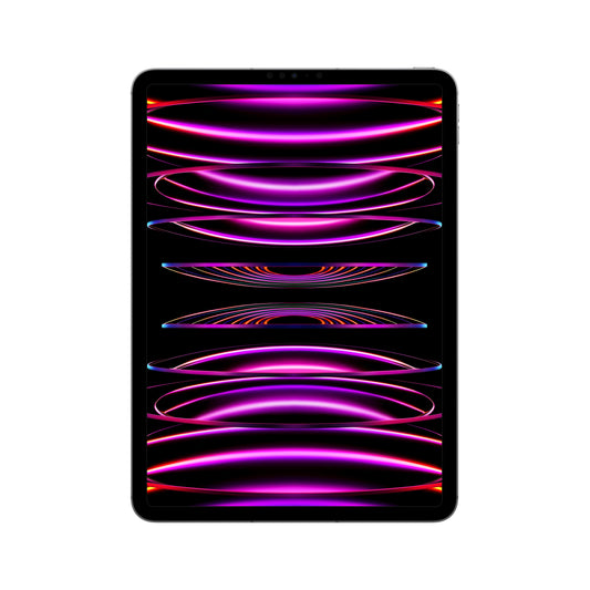 2022 11-inch iPad Pro Wi-Fi + Cellular 1TB - Space Grey (4th generation)