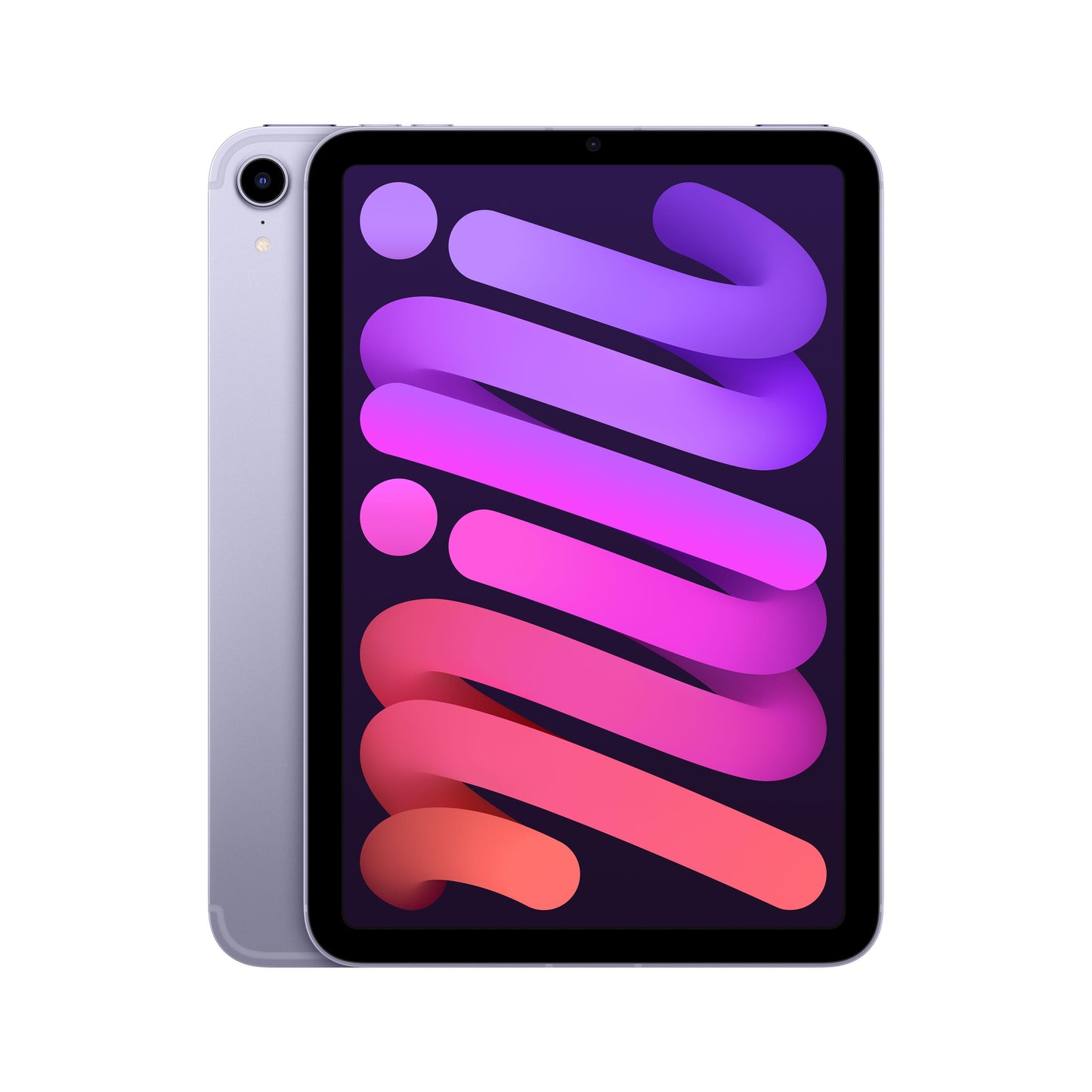 iPad mini Wi-Fi + Cellular 256GB - Purple (6th generation)