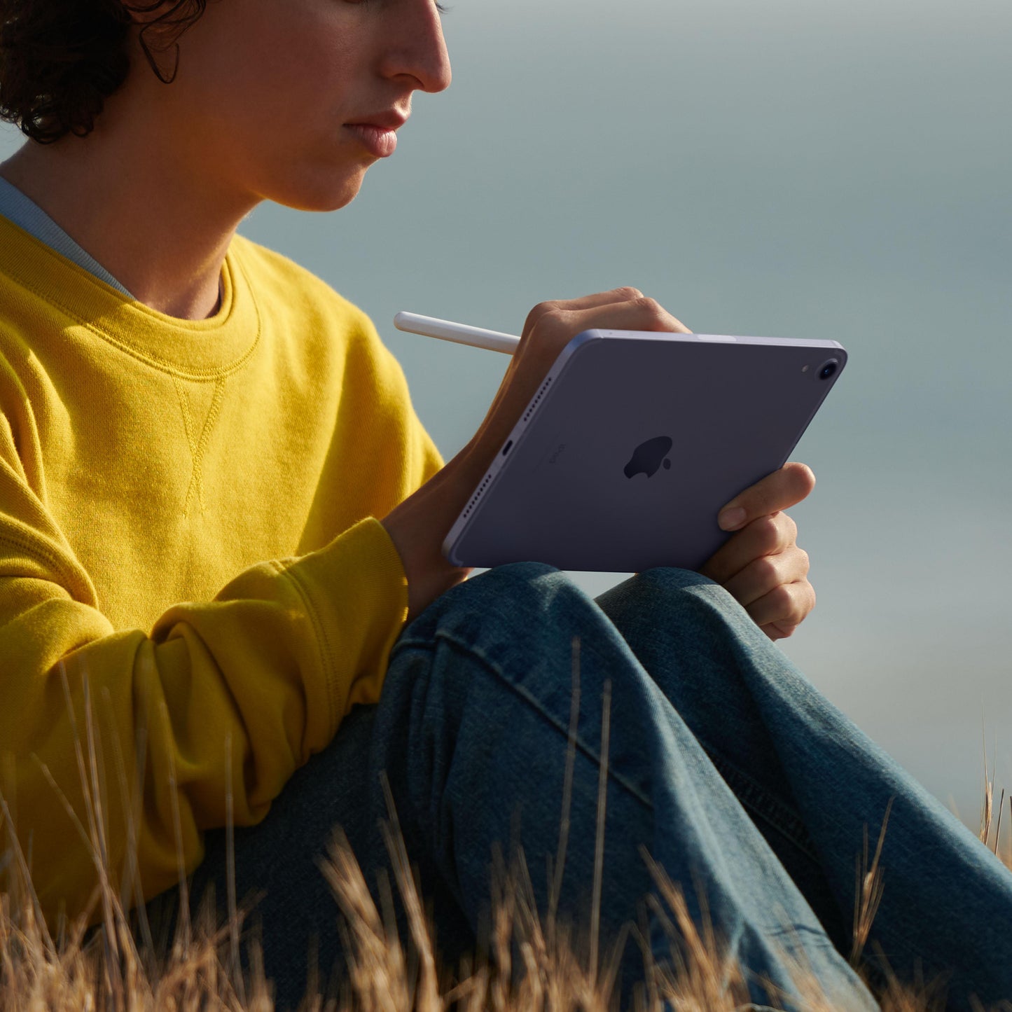 iPad mini Wi-Fi + Cellular 64GB - Purple (6th generation)