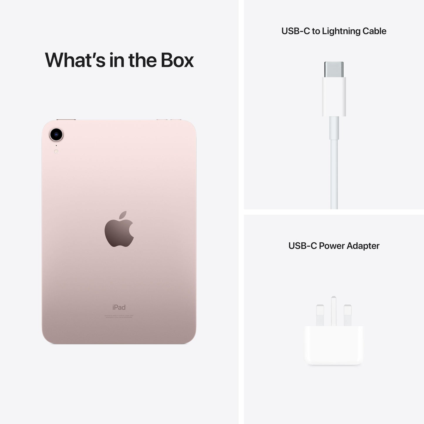 iPad mini Wi-Fi + Cellular 64GB - Pink (6th generation)