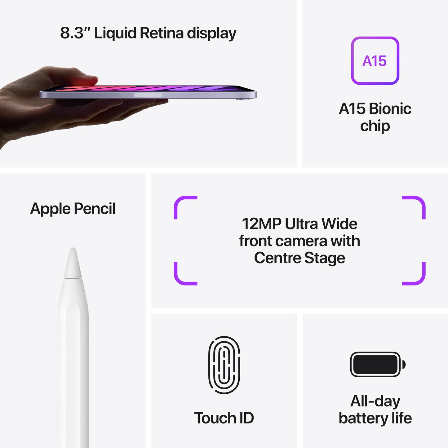 iPad mini Wi-Fi 256GB - Purple (6th generation)