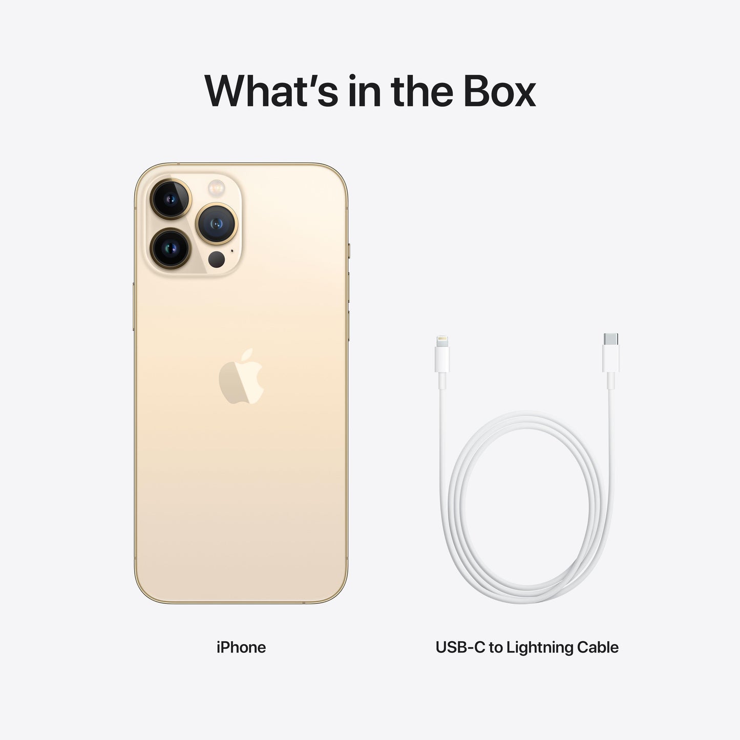 iPhone 13 Pro Max 1TB Gold