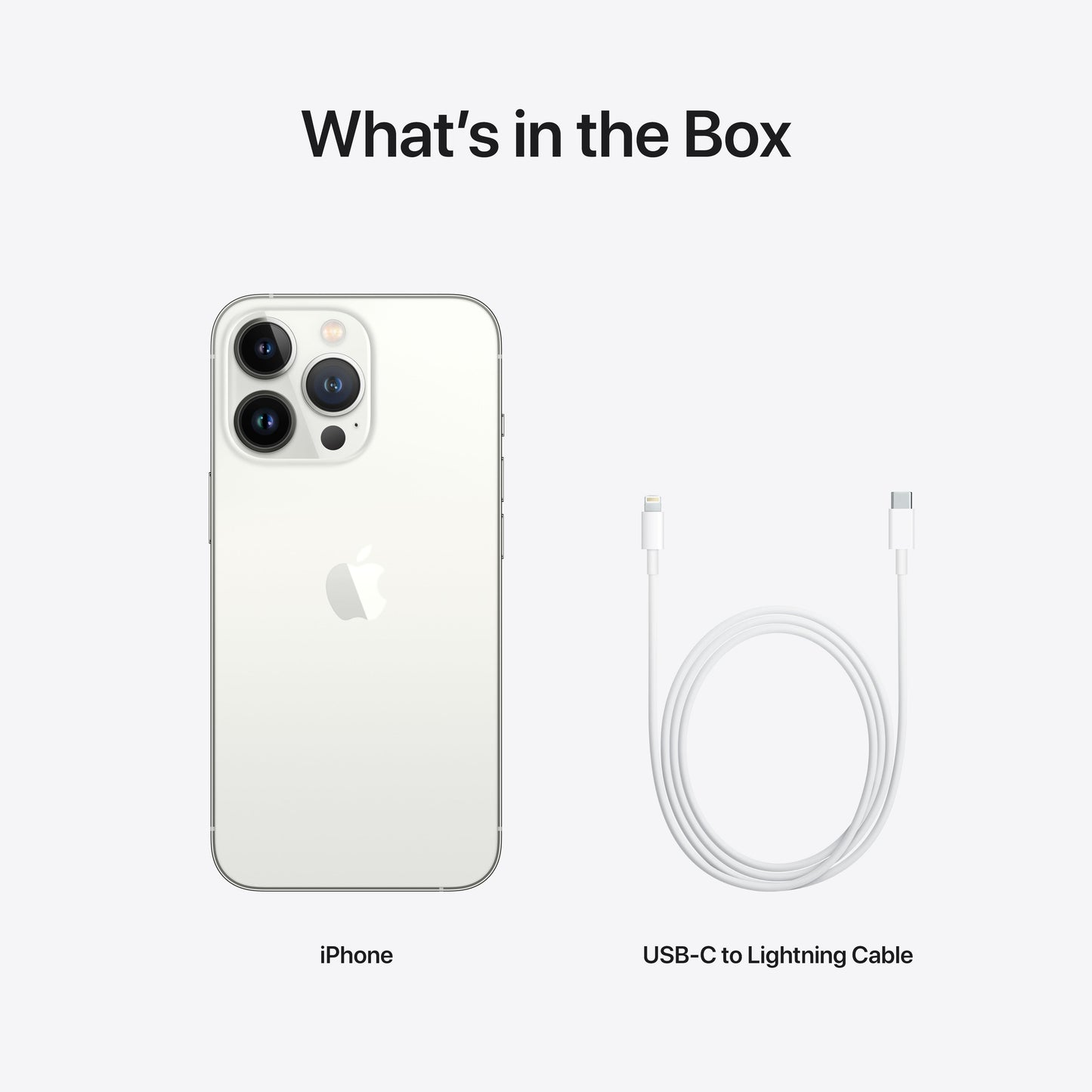 iPhone 13 Pro 1TB Silver