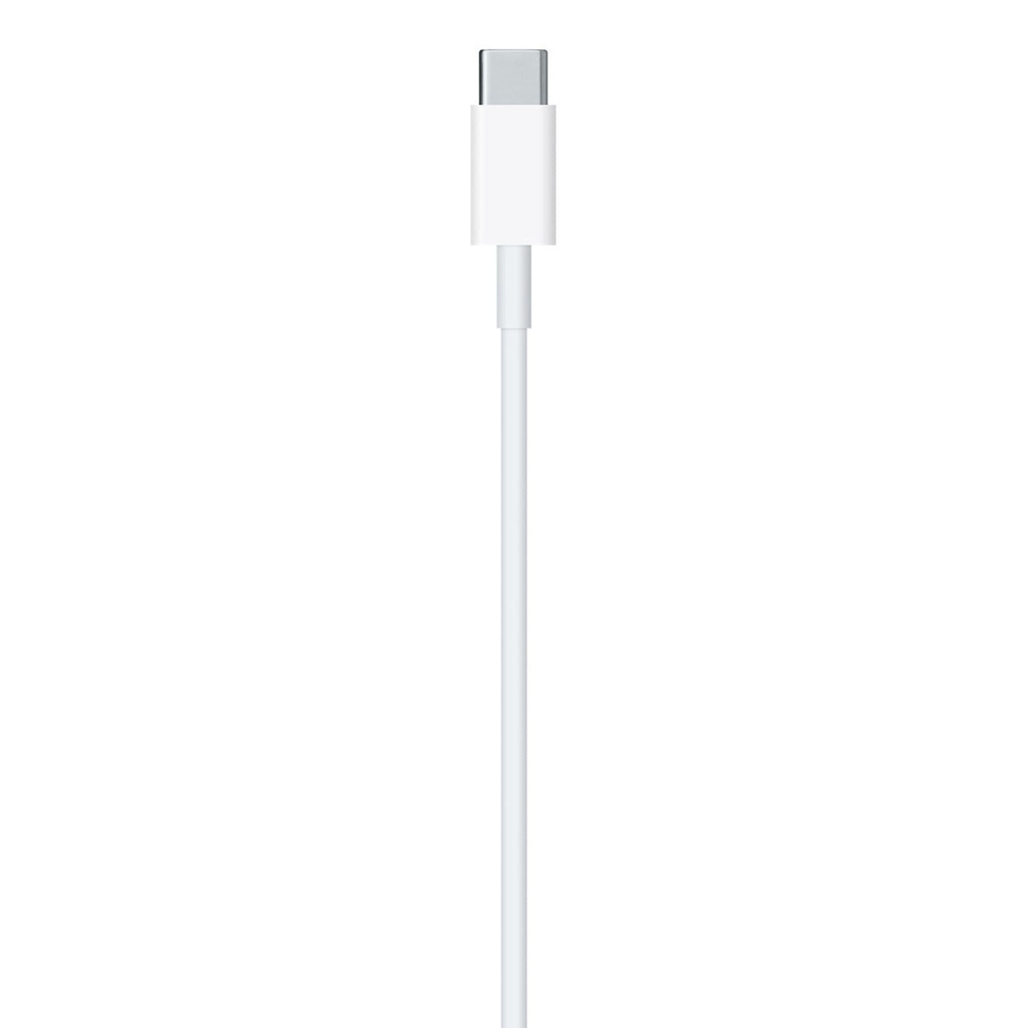 USB-C to Lightning Cable (1 m)